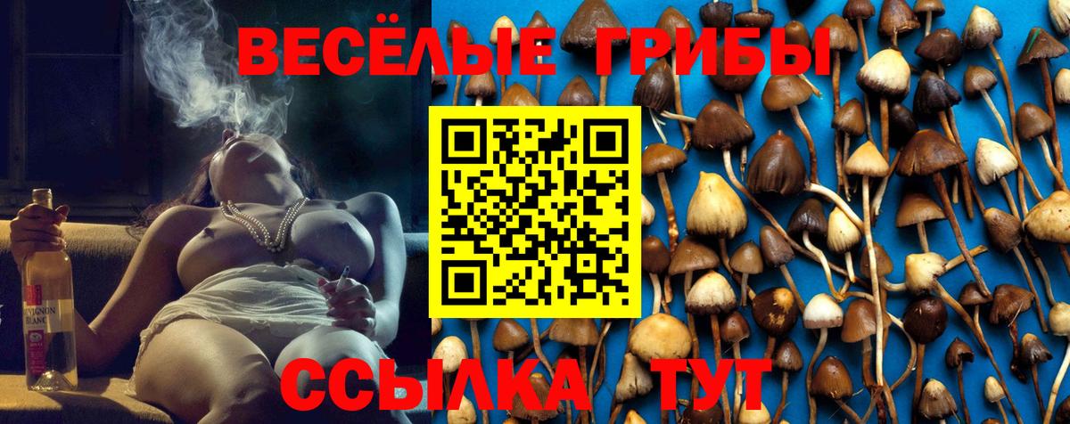 Псилоцибиновые грибы Cubensis  дарнет шоп  Вход с VPN  Солнечногорск  Галлюциногенные грибы Magic Shrooms 